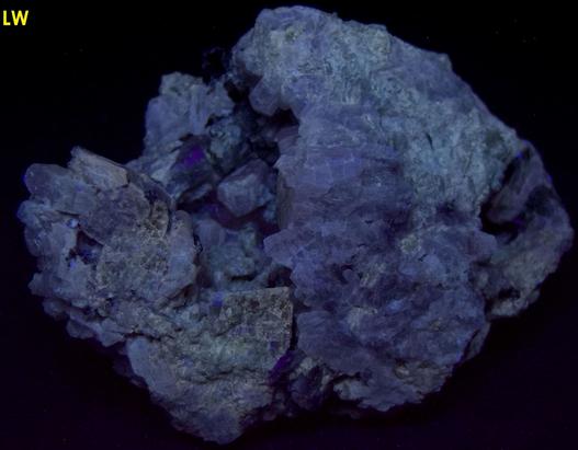 fluorescing SCAPOLITE, TREMOLITE, MUSCOVITE mica - Combermere area (Palmer Rapids area), Renfrew County, Ontario, Canada - ex Morris Museum