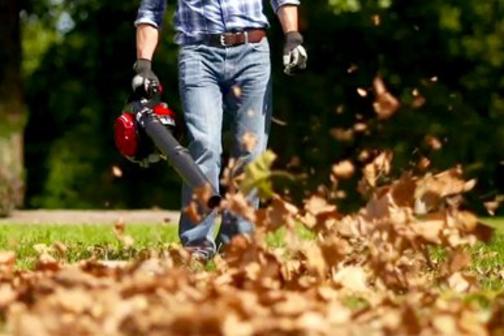 LEAF REMOVAL SERVICES