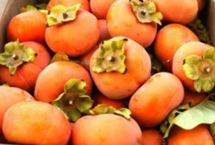 Cung cấp hồng giòn nhập khẩu giá rẻ tại Hà Nội