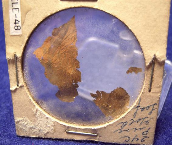 GOLD leaf - ex J and E Greene - unknown location