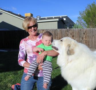 Wells' Providence Great Pyrenees Puppies ~ SUPERIOR breeder of purebred AKC Registered Great Pyrenees puppies for sale in Silex, Missouri Genuine Great Pyrenees breeder with verified reviews. This breeder strives to provide families with healthy puppies that have excellent temperaments. Wells Providence Great Pyrenees AKC Livestock Guardian Dogs and puppies registered great pyrenees puppies for sale near me Breeder of AKC Champion bloodlines Great Pyrenees puppies for sale Missouri, Wells' Providence Great Pyrenees LGD Puppies & Nigerian Dwarf Goats for sale, Wells' Providence AKC champion pedigree Great Pyrenees puppies for sale Missouri, Livestock Guardian dogs, home of Disney Santa Paws 2 Mrs. Paws Lady