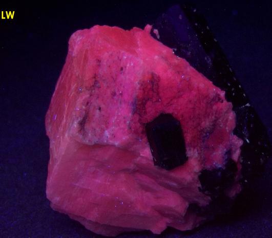 FLUORO-RICHTERITE, fluorescent CALCITE - Wilberforce area, Haliburton County, Ontario, Canada - ex Eugene Carmichael