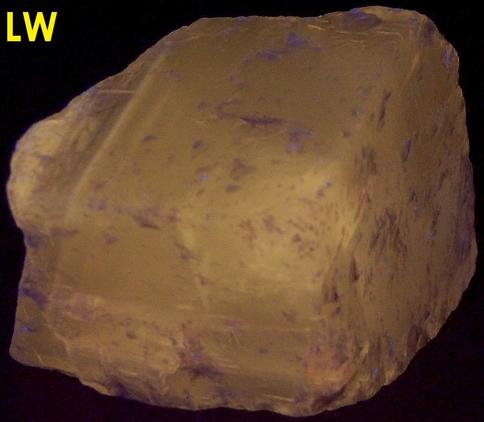 fluorescent CALCITE - Harlowton, Wheatland County, Montana, USA