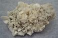 fluorescent GYPSUM SELENITE - Guerrero Negro, Mun. de Mulege, Baja California Sur, Mexico