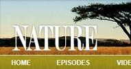 PBS NATURE EPISODES WEBSITE