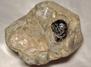 APACHE TEARS OBSIDIAN in perlite - Apache Tears locality, Picketpost Mountain area, Superior, Pinal County, Arizona, USA - for sale