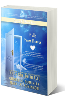 Grief Diaries Hello From Heaven book