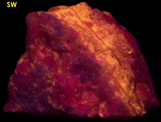 fluorescing SW LW CLINO-SUENOITE, TREMOLITE - International Talc Company Mine No. 8 (Reynolds Mine), Talcville, St.Laurence County, New York, USA