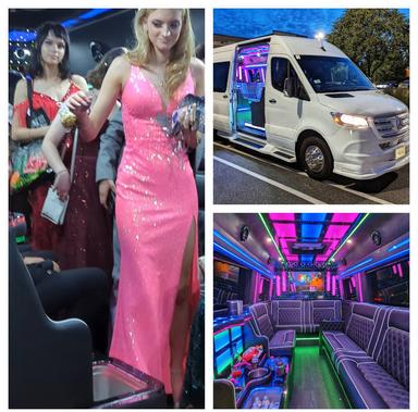 Party Bus rental