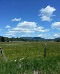 Mount Lassen cow meadow and big sky.