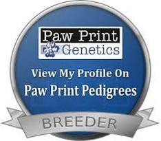 Breeders who genetic test dogs