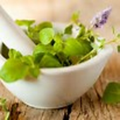 Herbs in a grinding bowl