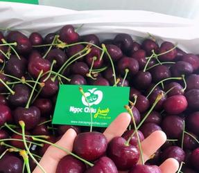 Bán Cherry Canada Tại Hà Nội