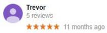 trevor 5 star review, google review, hamilton tree removal