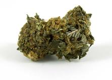 kush-weed-bud-marijuana-Mary Jane-Canadian bud