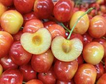 Cherry Mỹ