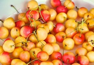 Cherry vàng, cherry Mỹ, hoa quả nhập khẩu tại hà nội
