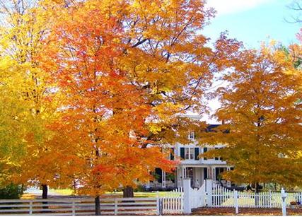 Fall colors on leaves and trees, large white home