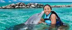 "Dolphin Cove Ocho Rios tour with Rocky's Taxi and Tour "
