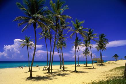 Cremation Services By The Sea Ash Scattering