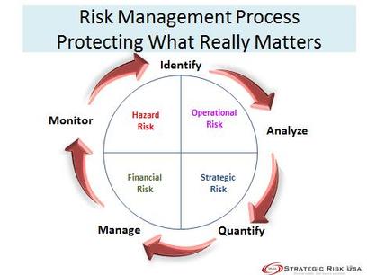 financial risk management process