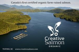 Creative Salmon Organic, Tofino BC
