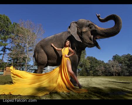 BEST QUINCEANERA DRESS MIAMI YELLOW QUINCE DRESS
