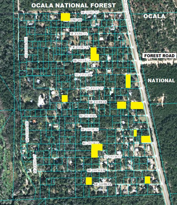 Florida Land Sale Ocala National Forest Private Lots