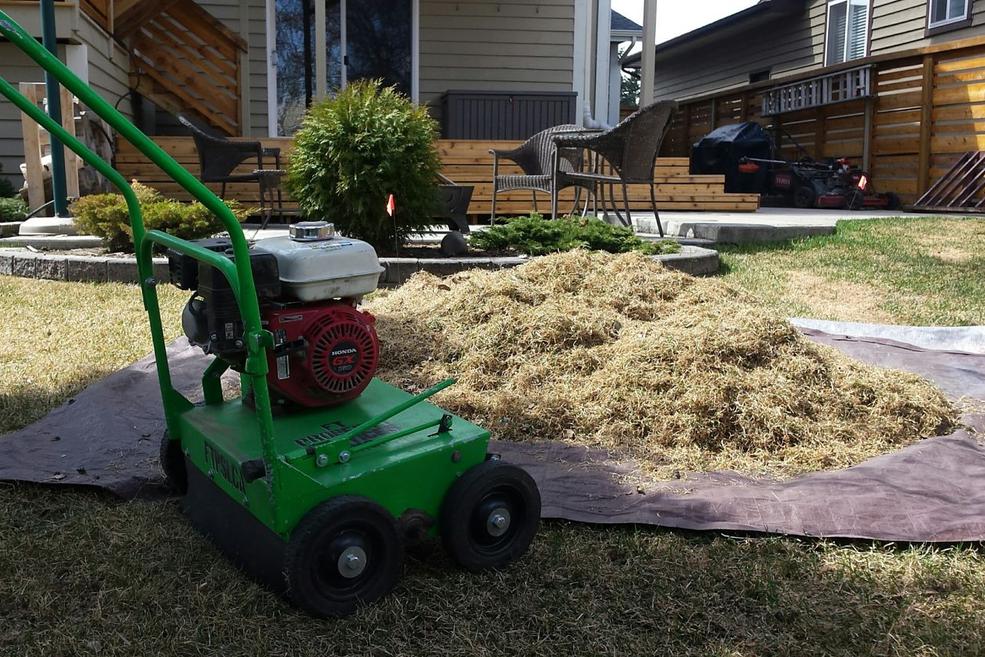 What is Power Raking Your Lawn | FT Property Services Inc. | Calgary, Alberta