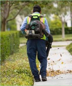 Presentato Landscaping employee blowing leaves.