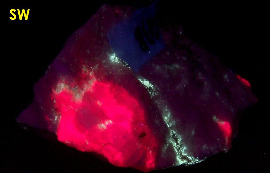SW LW fluorescent TUGTUPITE, POLYLITHIONITE, AEGIRINE ACMITE - Tasseq Slope - West (Taseq Slopes), Tasseq area, Ilimaussaq complex, Narsaq, Kujalleq (Kitaa Province; West Greenland), Greenland, Denmark