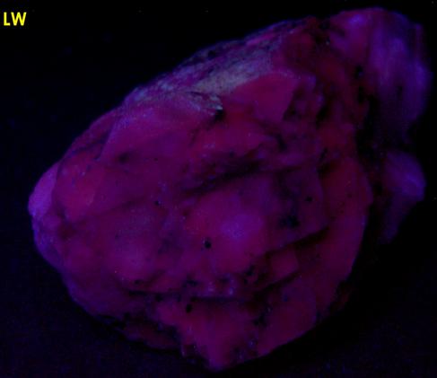 fluorescing CALCITE, MAGNETITE - Franklin, Franklin Mining District, Sussex County, New Jersey, USA - ex Borden, ex Morris Museum