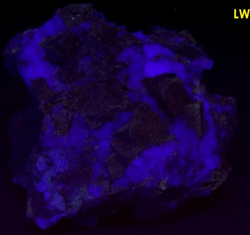 fluorescent FLUORITE, GALENA, QUARTZ, ANGLESITE - Desert Rose Mine (Downey Stope; Mountain Canyon Mine; Ace High Mine), Garden Spring Canyon, Bingham, Hansonburg District, Socorro County, New Mexico, USA