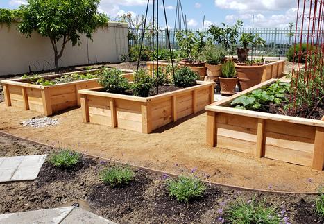 Above ground garden beds, planter boxes