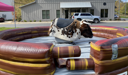 Mechanical Bull Rental