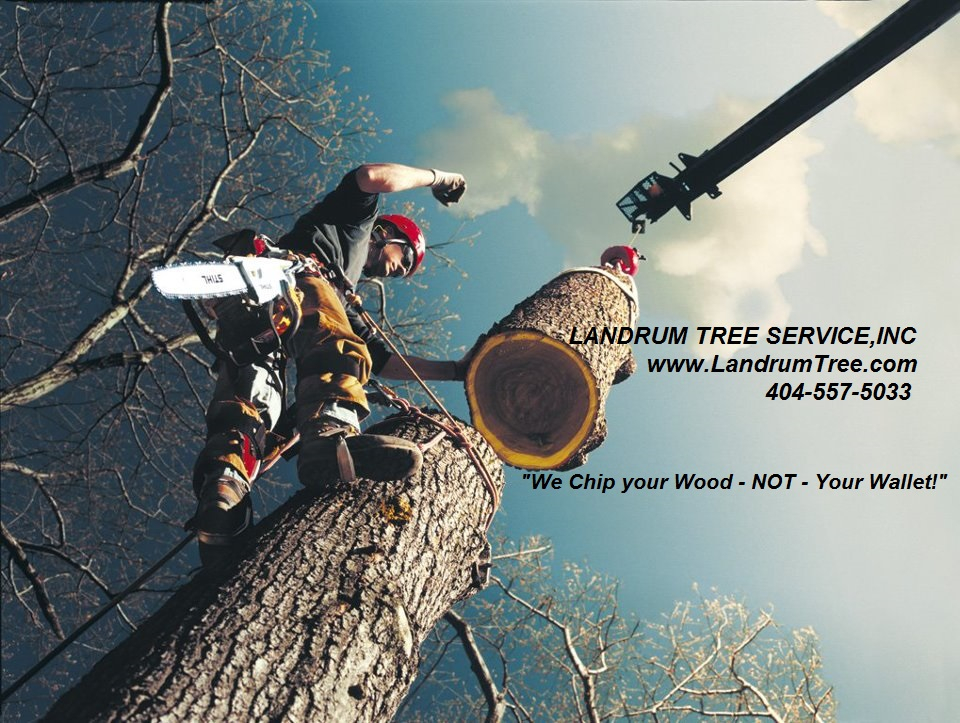 Landrum Tree Service, Inc.