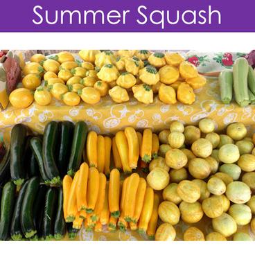 Summer Squash