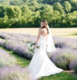 Lavender wedding, maryland wedding venue, frederick wedding venue, fredericks best event venue