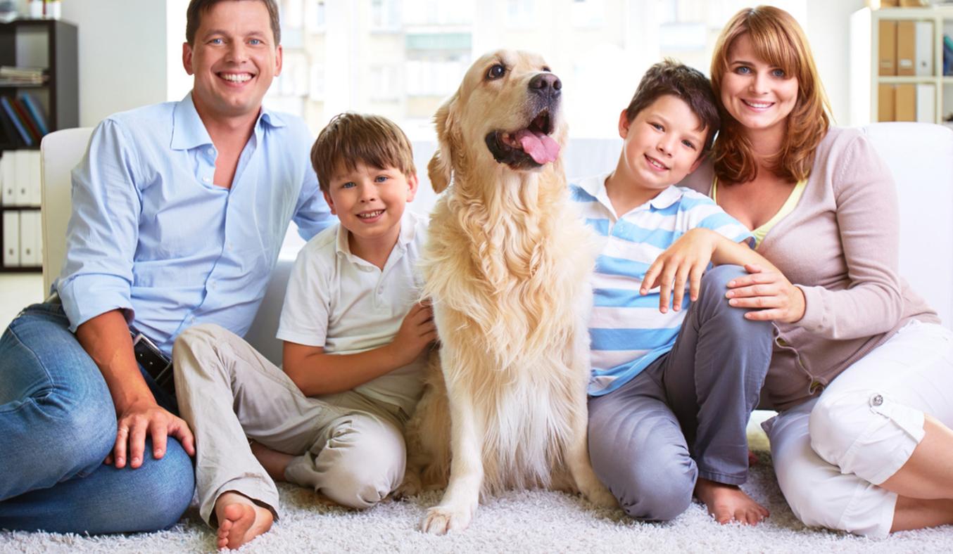 © Can Stock Photo / pressmaster / family carpet