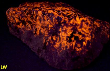 fluorescent Sodalite Aegirine Acmite - Poudrette quarry (Demix quarry; Uni-Mix quarry; Desourdy quarry; Carrière Mont Saint-Hilaire; MSH), Mont Saint-Hilaire, La Vallée-du-Richelieu RCM, Montérégie, Québec, Canada