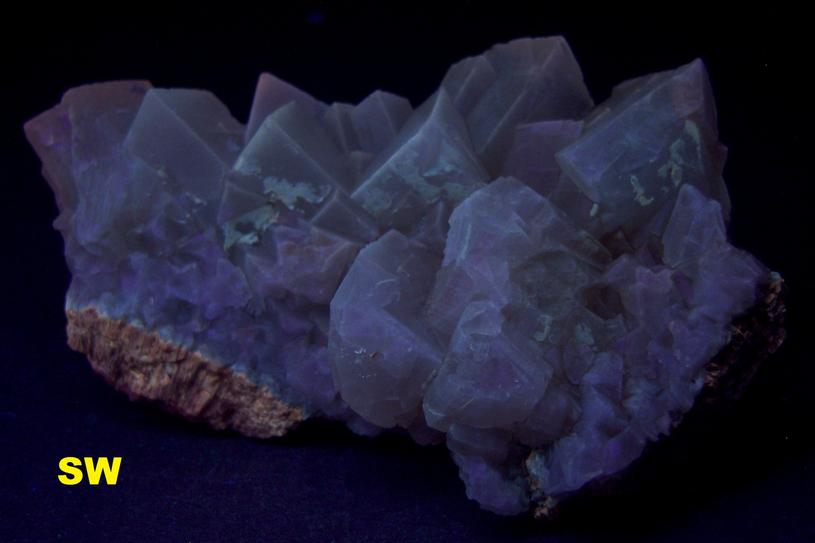FL Calcite crystals – Edgemont, South Dakota