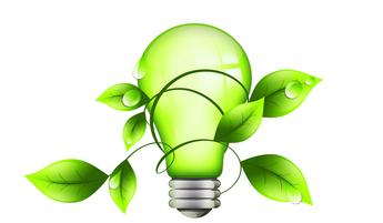 green lightbulb with leaves