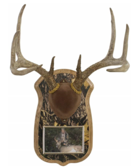 Trophy Buck Shoulder Mounts