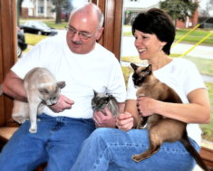 Victoria & Mike Blais enjoy solving cat behavior problems