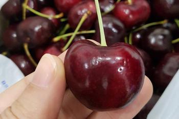 ​Quả cherry giá bao nhiêu