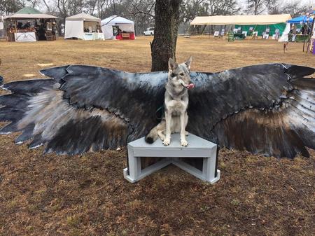 are dogs allowed at the renaissance festival texas