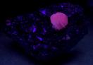 ENARGITE, SPHALERITE, PYRITE, fluorescent CALCITE,Huanzala Mine, Huallanca District, Bolognesi Province, Ancash Department, Peru - for sale