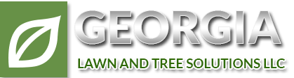 Savannah Ga Tree Services