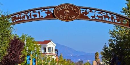 Temecula Bee Removal