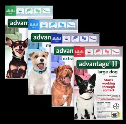 Advantage flea protection for dogs and cats, available in different sizes